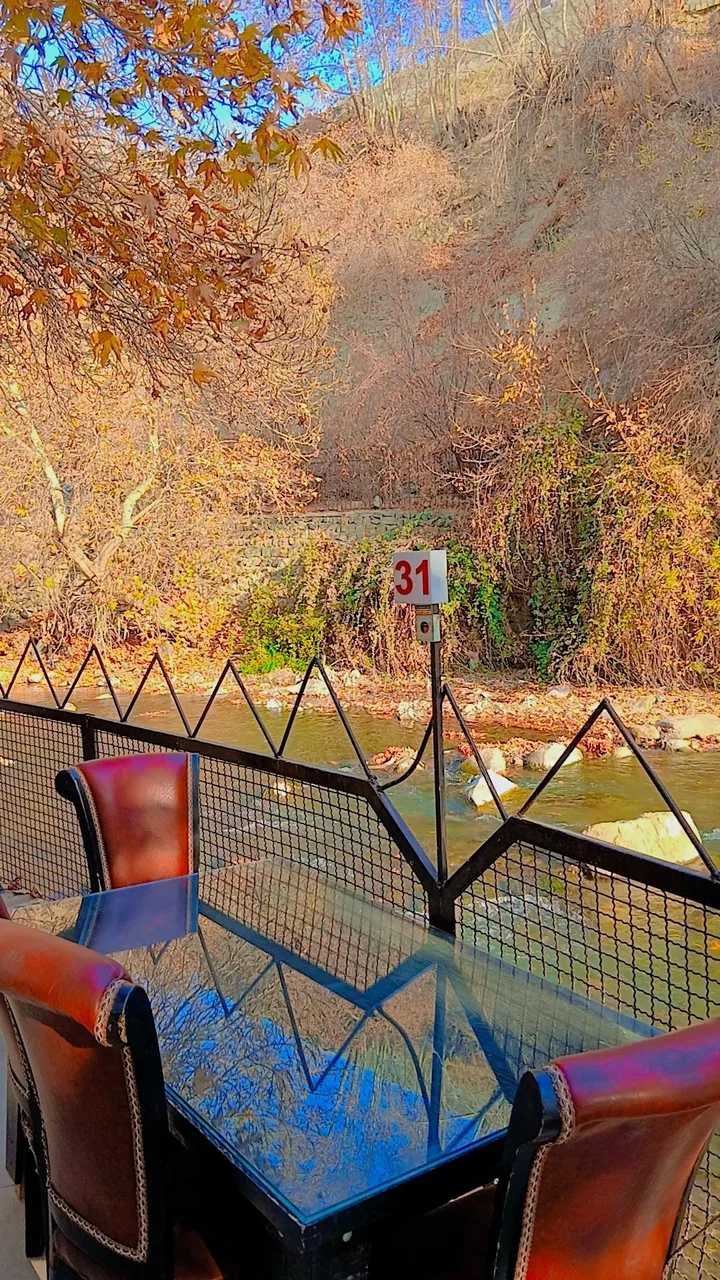 رستوران شب نشین - تصویر 5