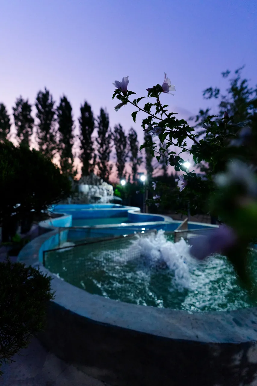 ماهی سرای گوهر - تصویر 5
