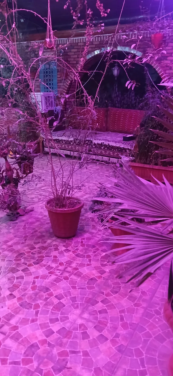 رستوران سنتی ایرونی - تصویر 2