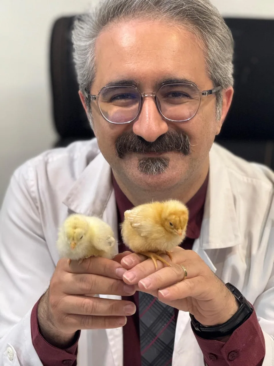 کلینیک تخصصی پرندگان دکتر فتاحی - تصویر 3