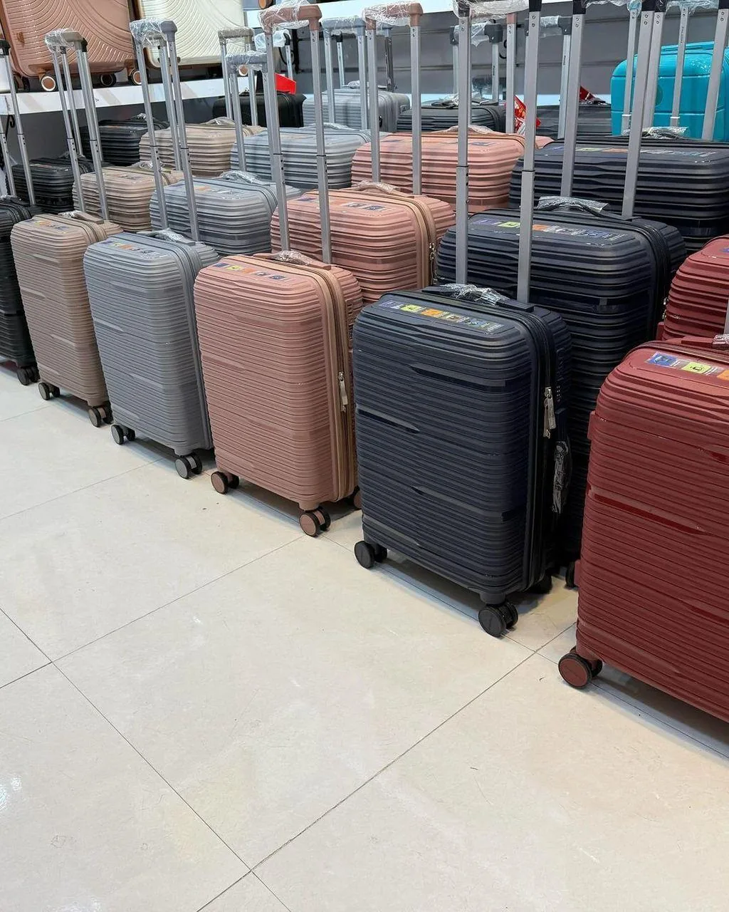 تولیدی و پخش کیف چمدان - تصویر 5