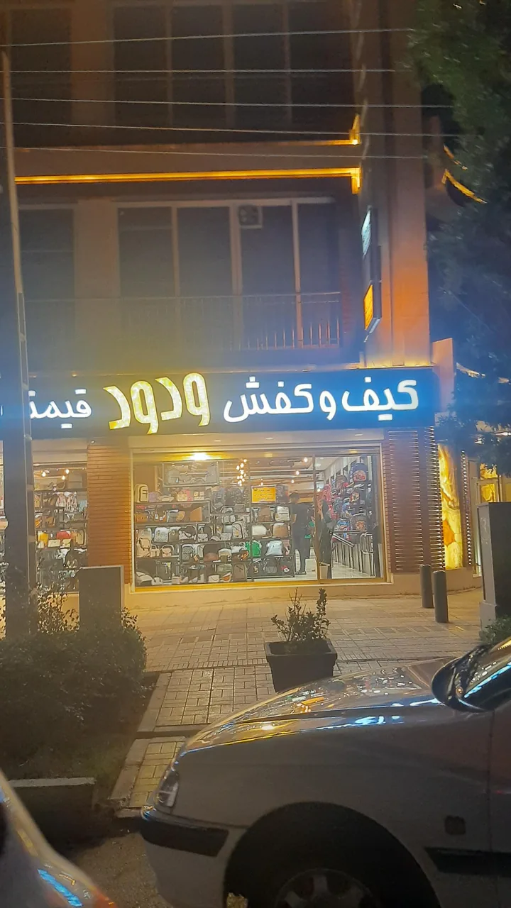 کیف و کفش ودود - تصویر 2