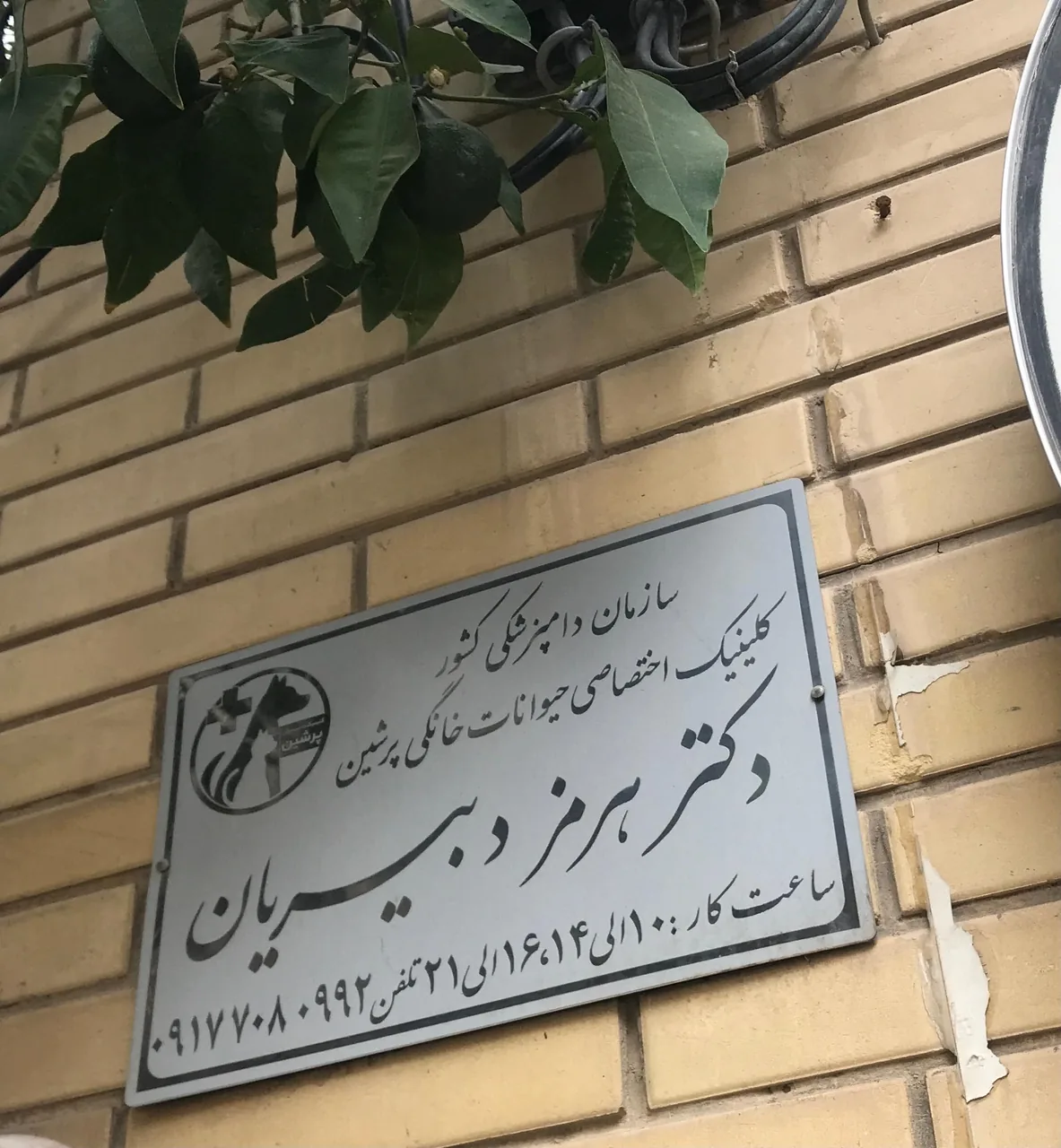 کلینیک دامپزشکی پرشین - تصویر 3