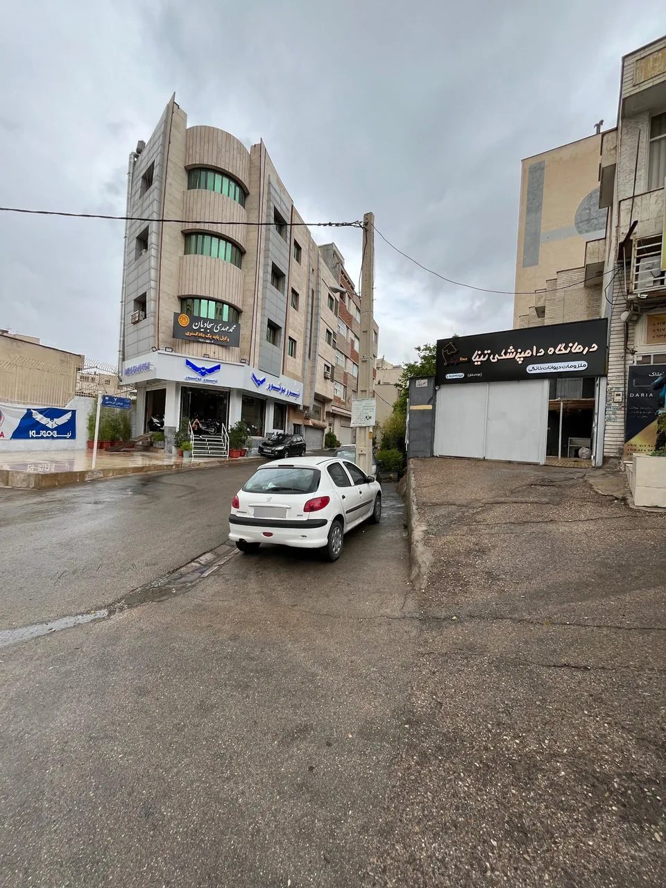 کلینیک دامپزشکی تینا - تصویر 2
