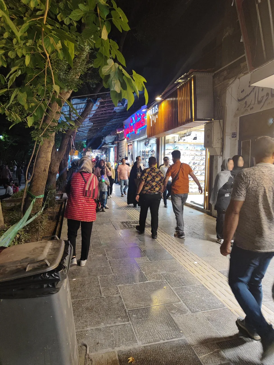 کفش شاهین - تصویر 2
