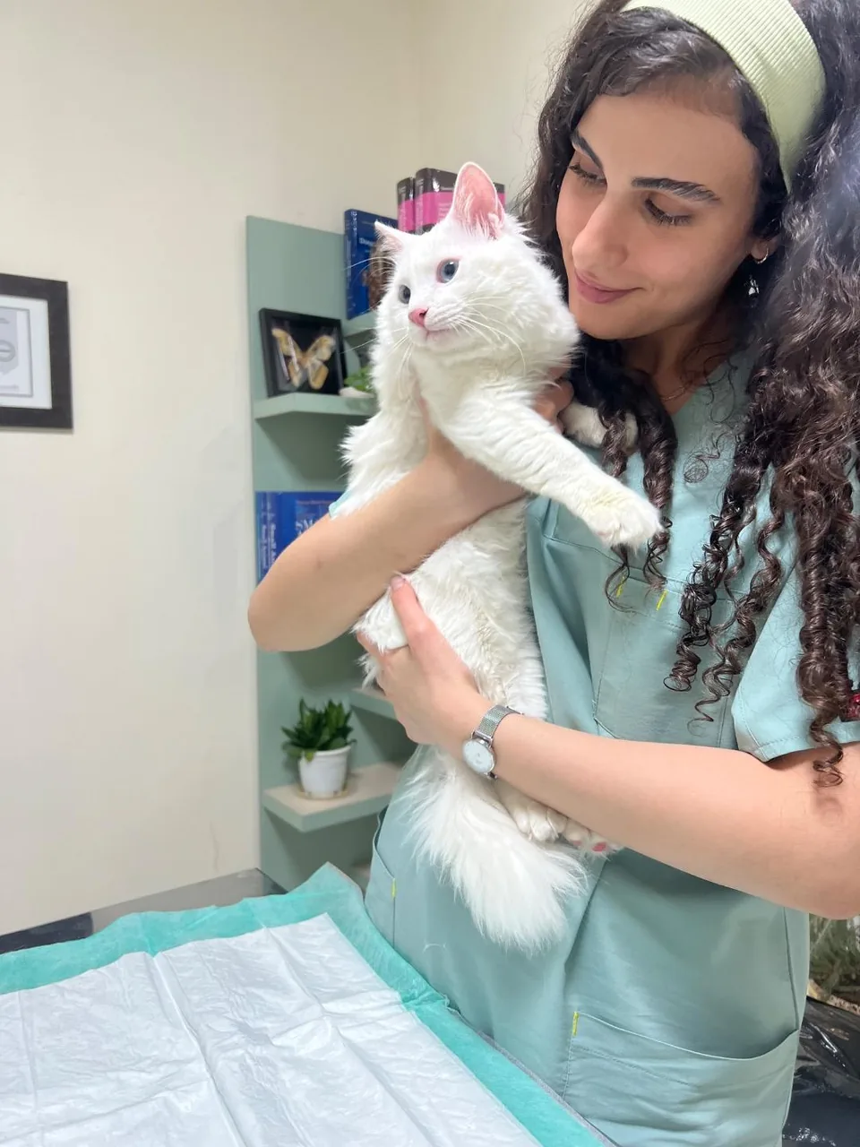کلینیک دامپزشکی و پت شاپ اطلس وت - تصویر 2