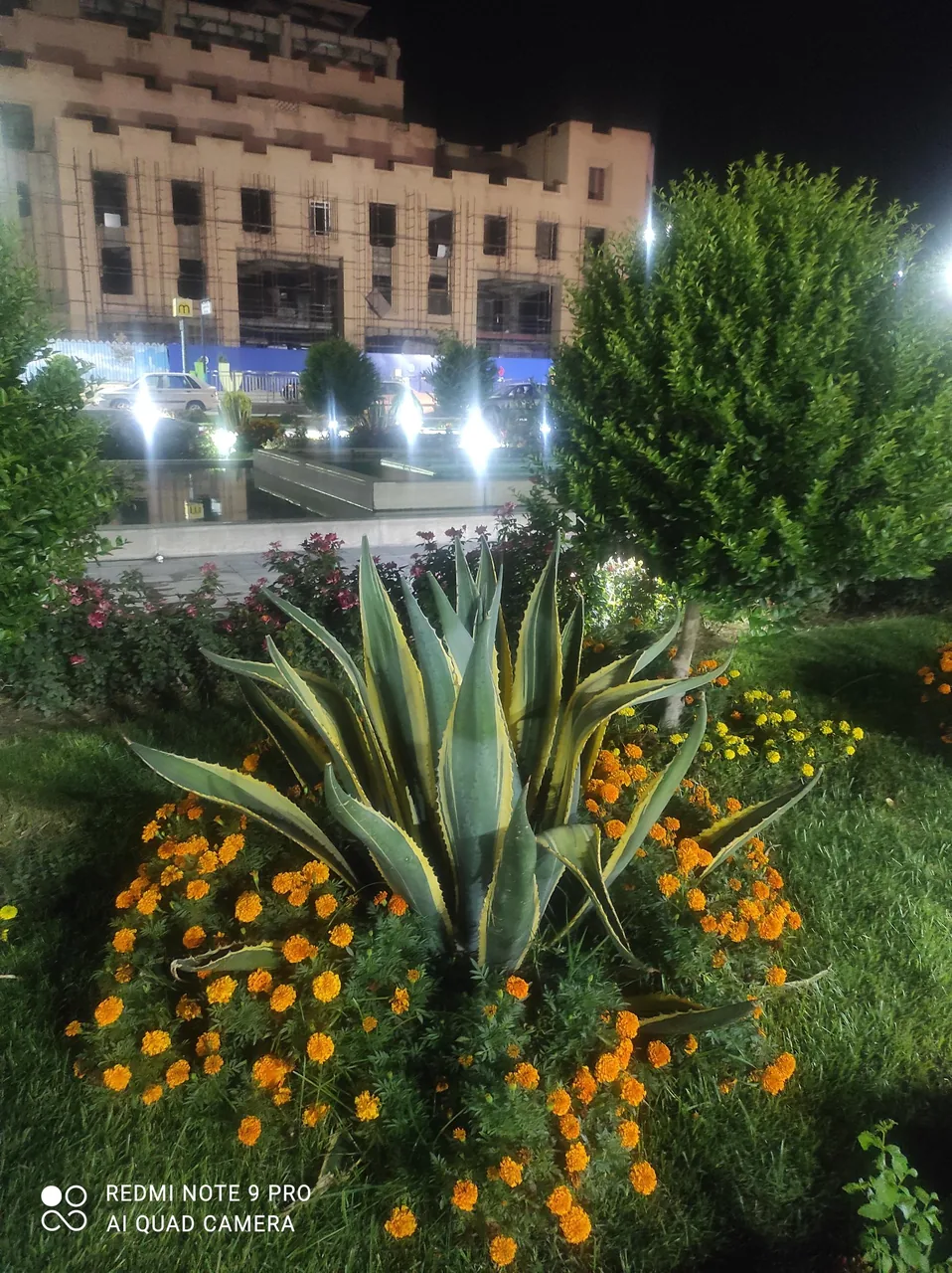مرکز خرید ارگ جهان نما - تصویر 3