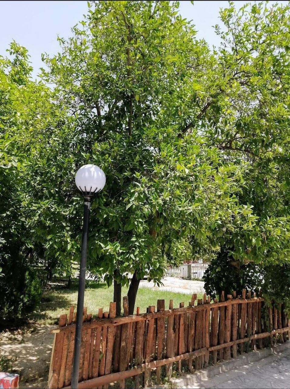 تالار و رستوران سبوی عشق - تصویر 3