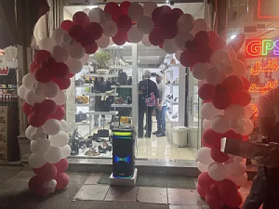 کیف و کفش روژان