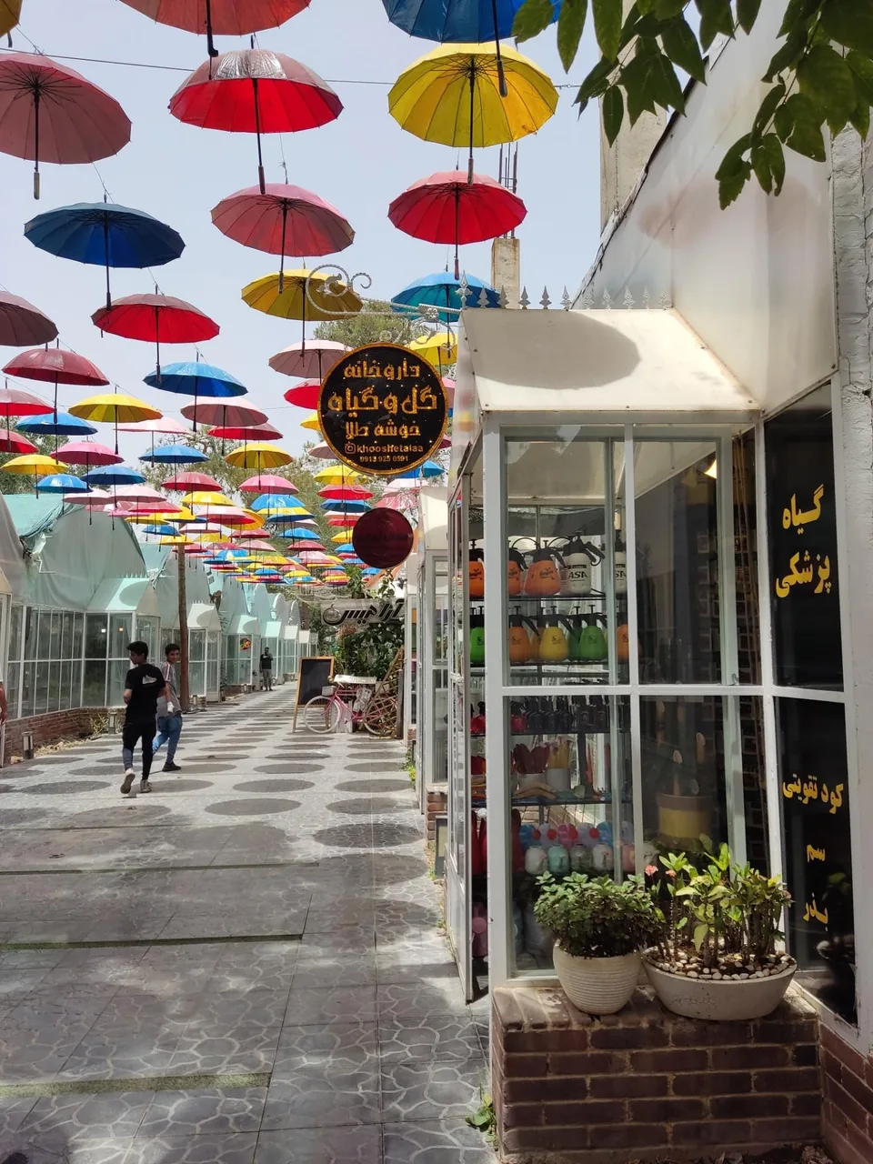 بازار گل پارادایس - تصویر 2