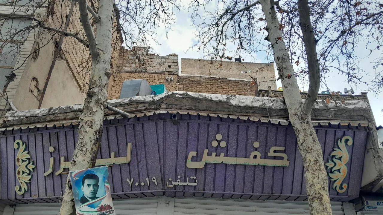کفش البرز - تصویر 3