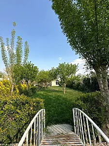 آتلیه عکس چشمان آبی