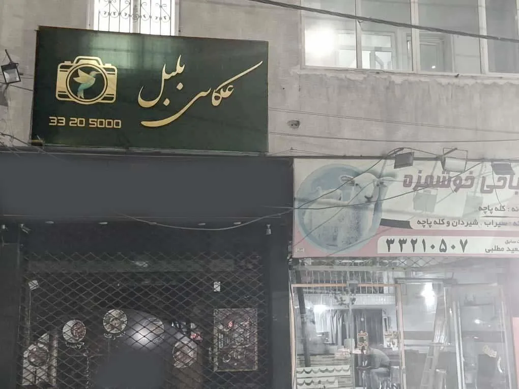 عکاسی بلبل مهرشهر - تصویر 2