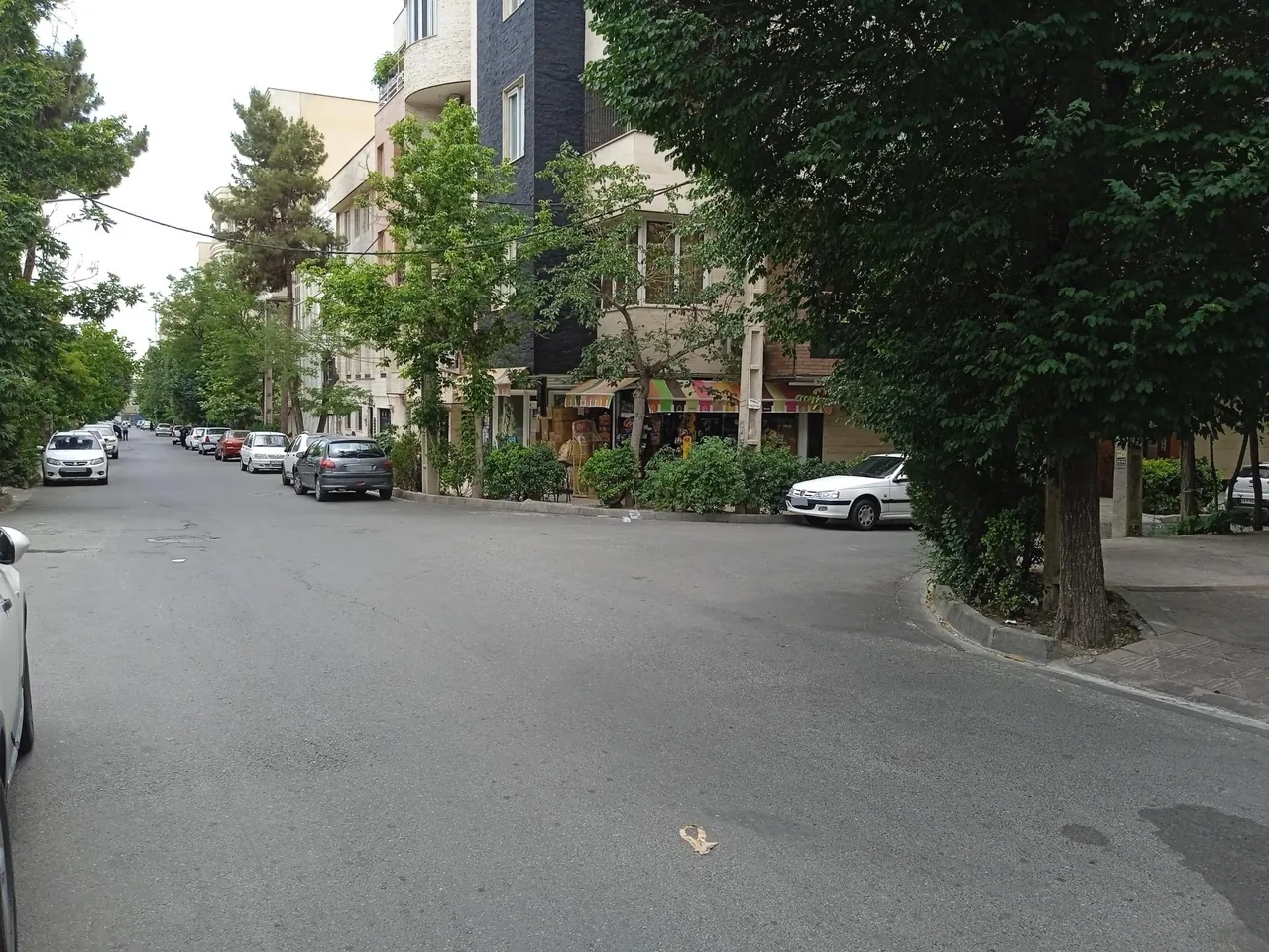 سوپر مارکت ارکیده - تصویر 5