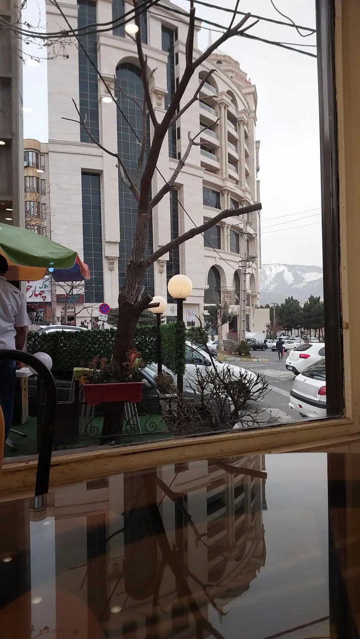 کله پزی میزبان - تصویر 5
