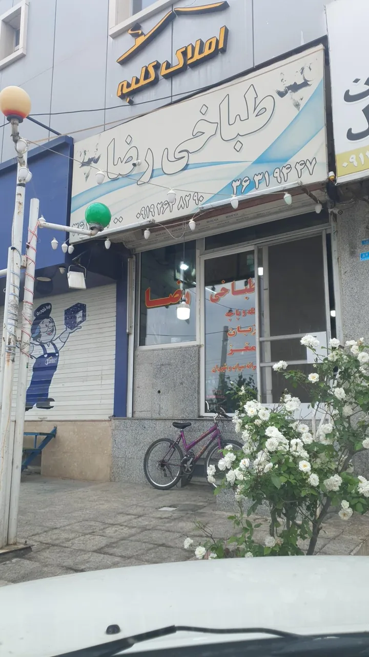 طباخی رضا