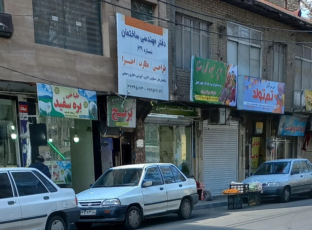 طباخی بره سفید