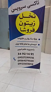 آژانس بانوان نخل زیتون