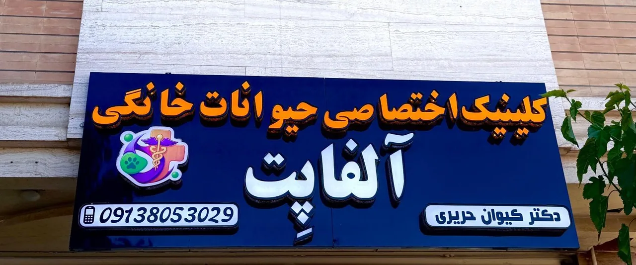 کلینیک دامپزشکی حیوانات خانگی آلفا پِت - تصویر 2