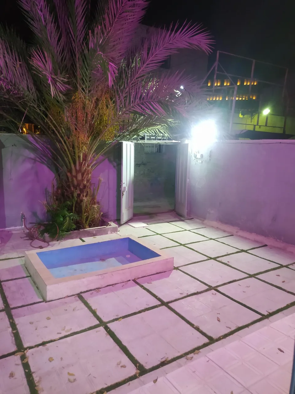 کلینیک دامپزشکی مشتاق - تصویر 2