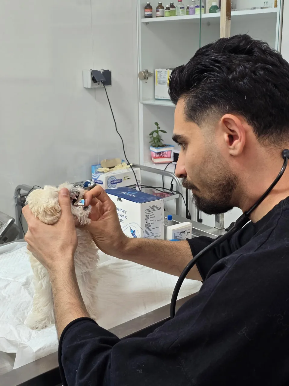 درمانگاه دامپزشکی دکتر خرمی - تصویر 5
