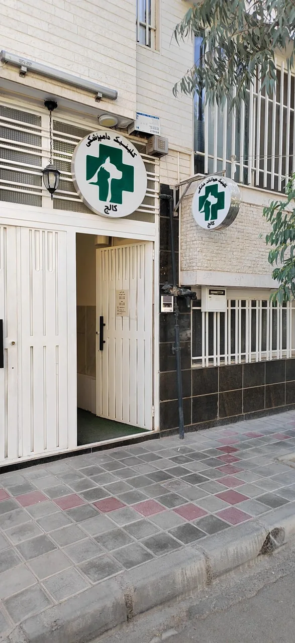 کلینیک دامپزشکی کالج