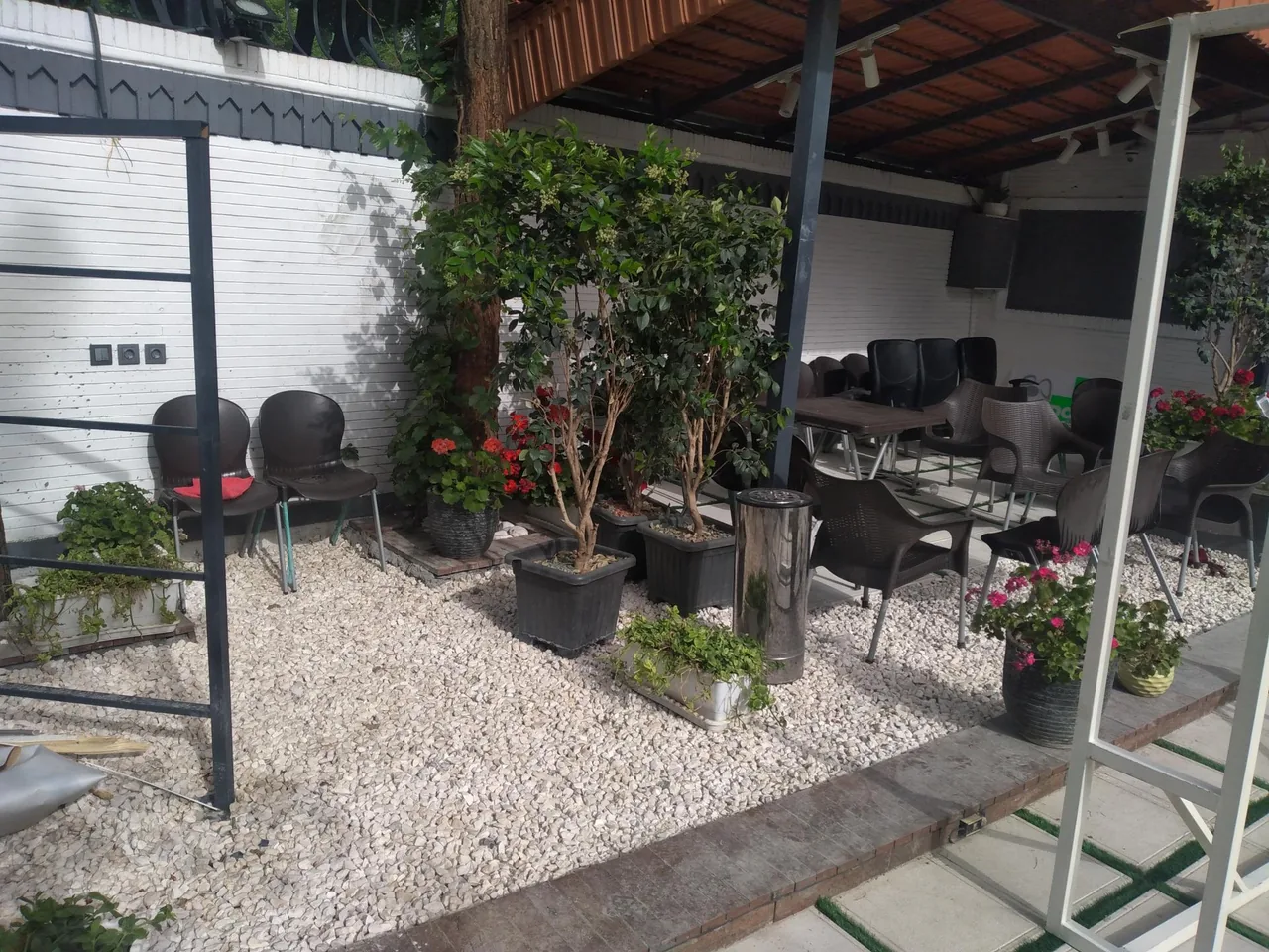 کیلینیک دامپزشکی آپادانا - تصویر 2