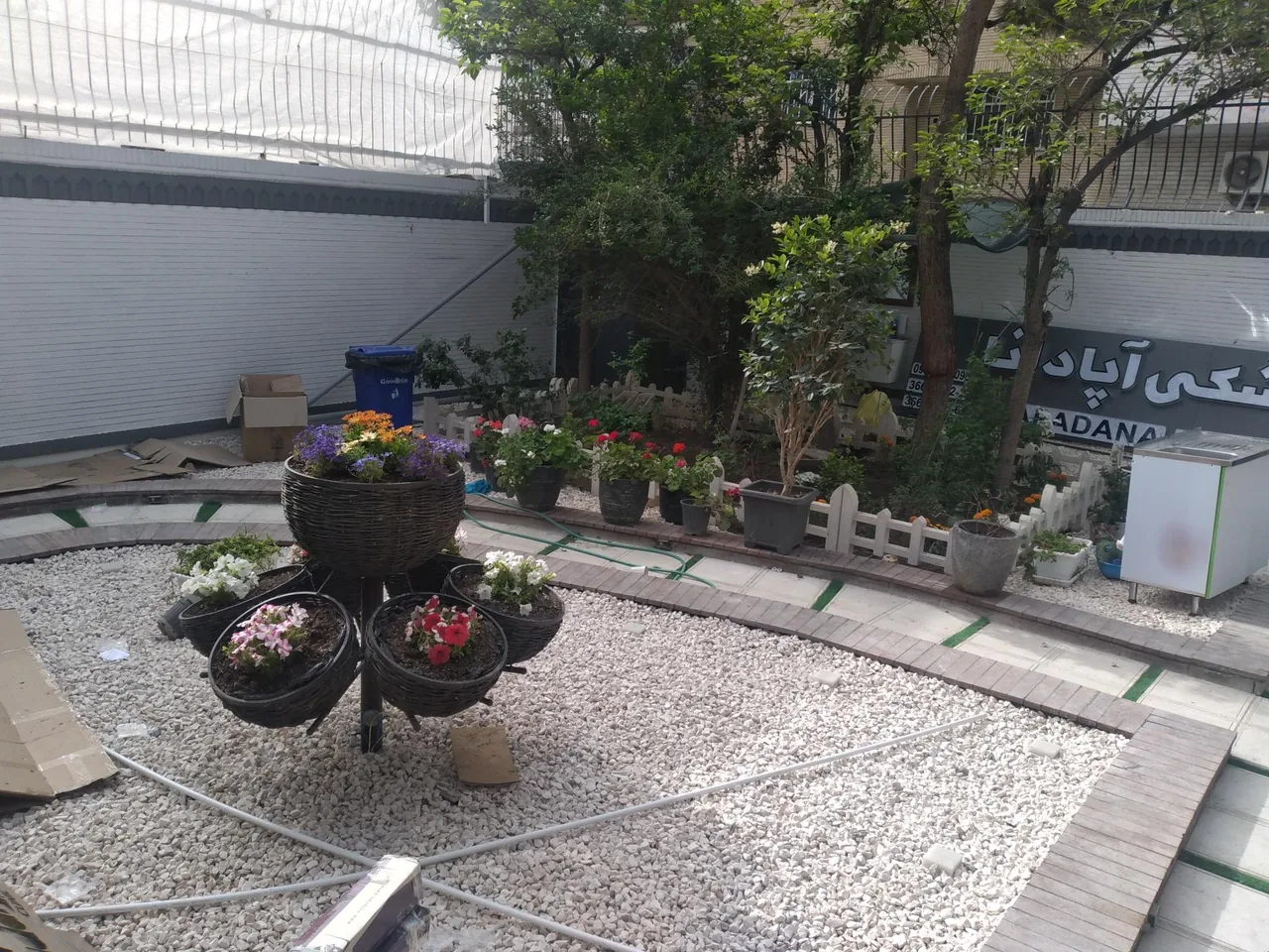 کیلینیک دامپزشکی آپادانا - تصویر 3