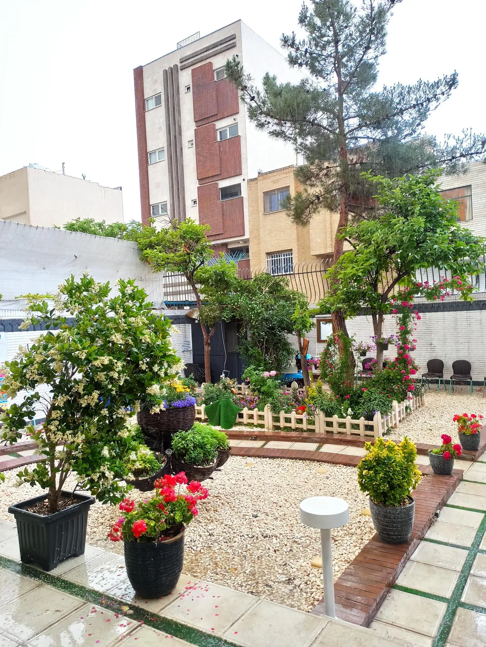 کیلینیک دامپزشکی آپادانا - تصویر 4