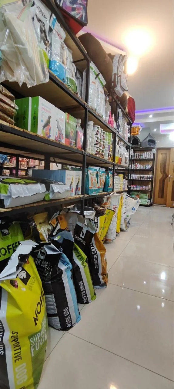 کلینیک دامپزشکی ناژپت - تصویر 3