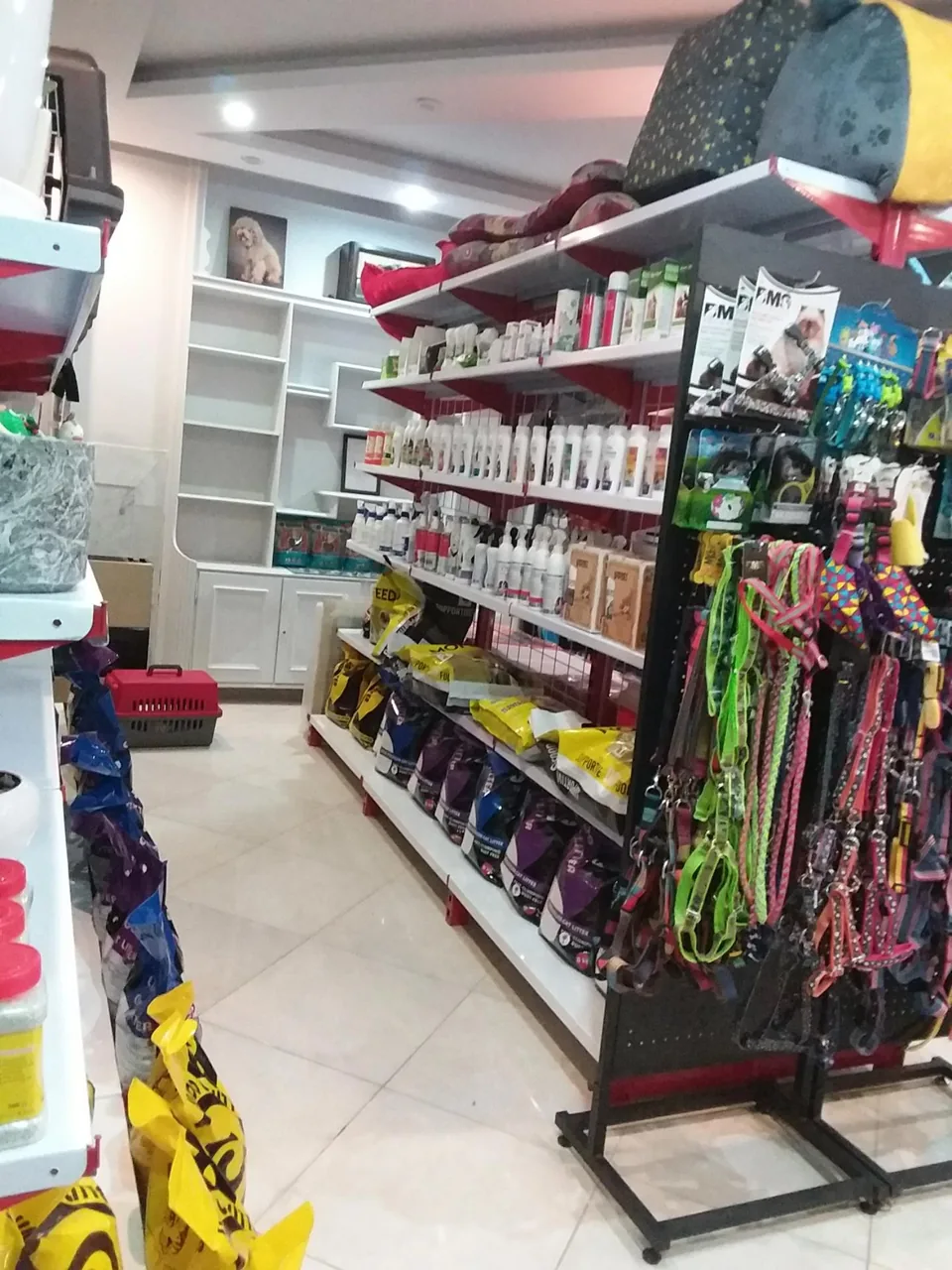 کلینیک دامپزشکی پارمیس - تصویر 3