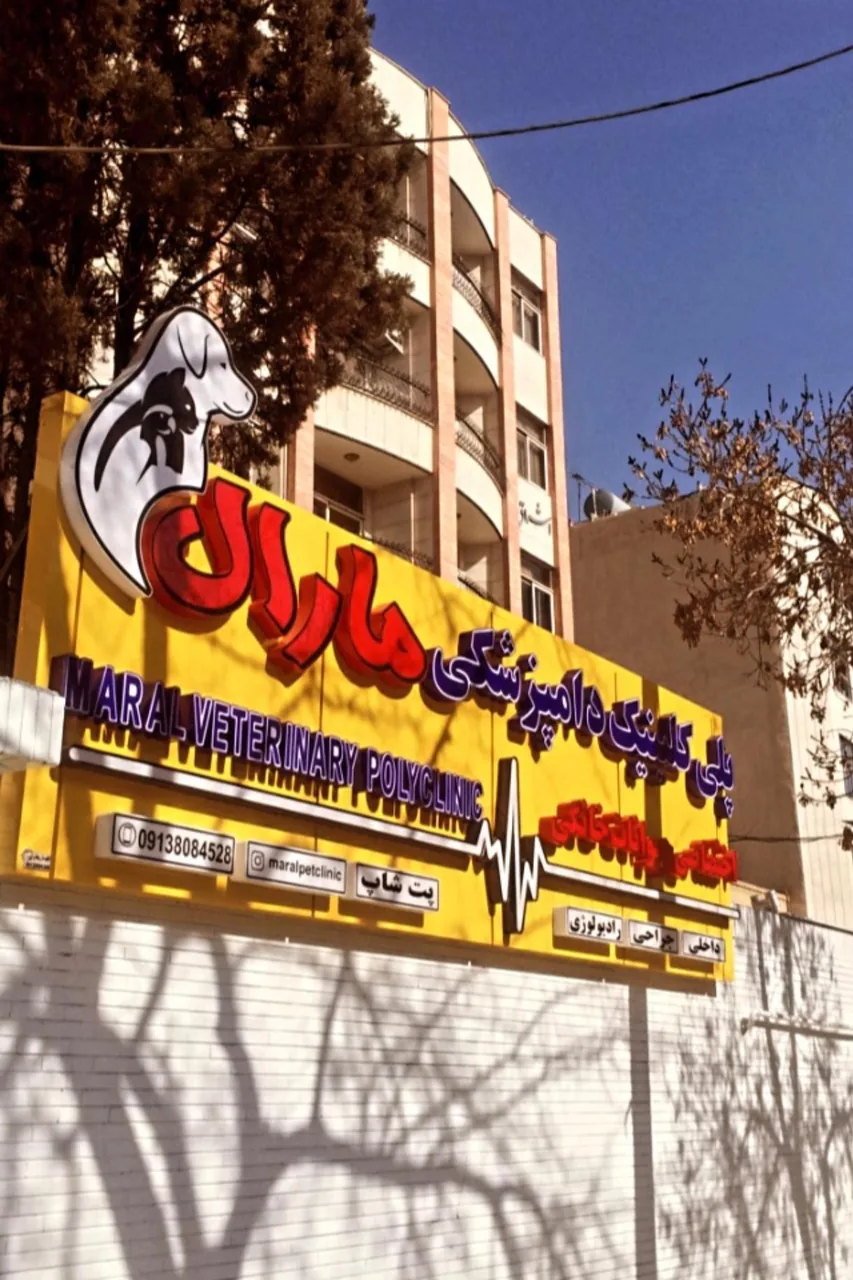 کلینیک دامپزشکی مارال