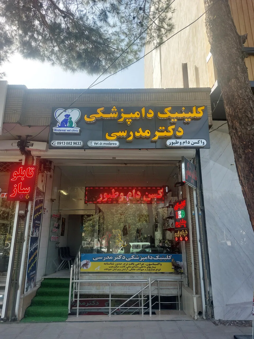 کلینیک دامپزشکی دکتر مدرسی