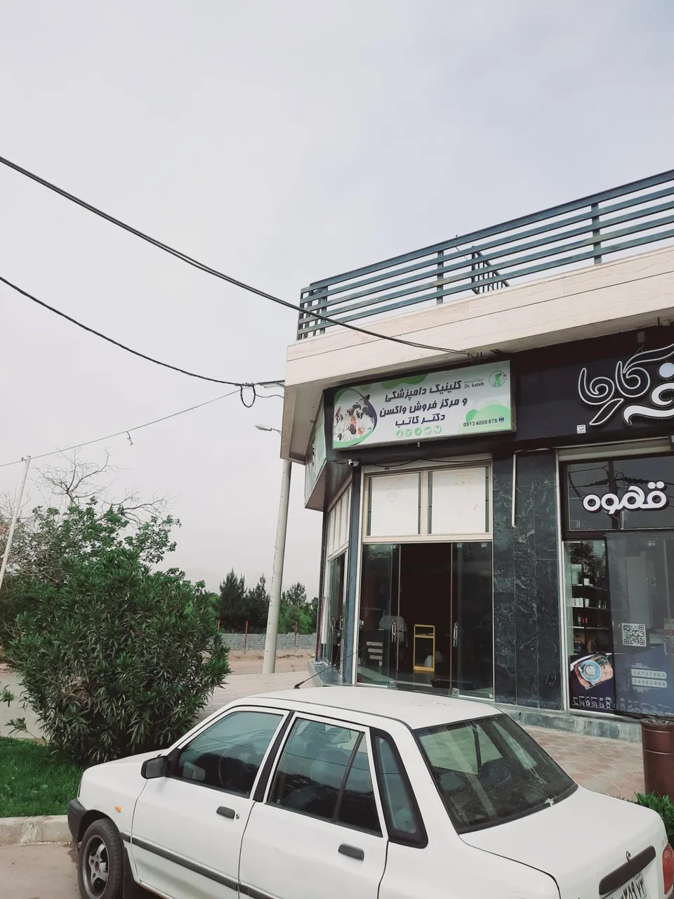 کلینیک دامپزشکی دکتر کاتب - تصویر 2