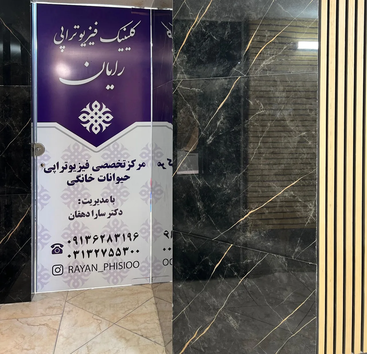 کلینیک دامپزشکی فیزیوتراپی حیوانات خانگی رایان