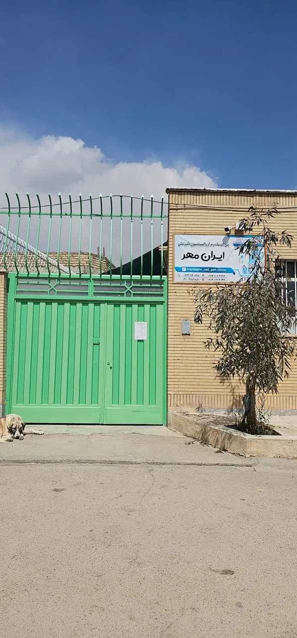 کلینیک دامپزشکی ایران مهر - تصویر 2