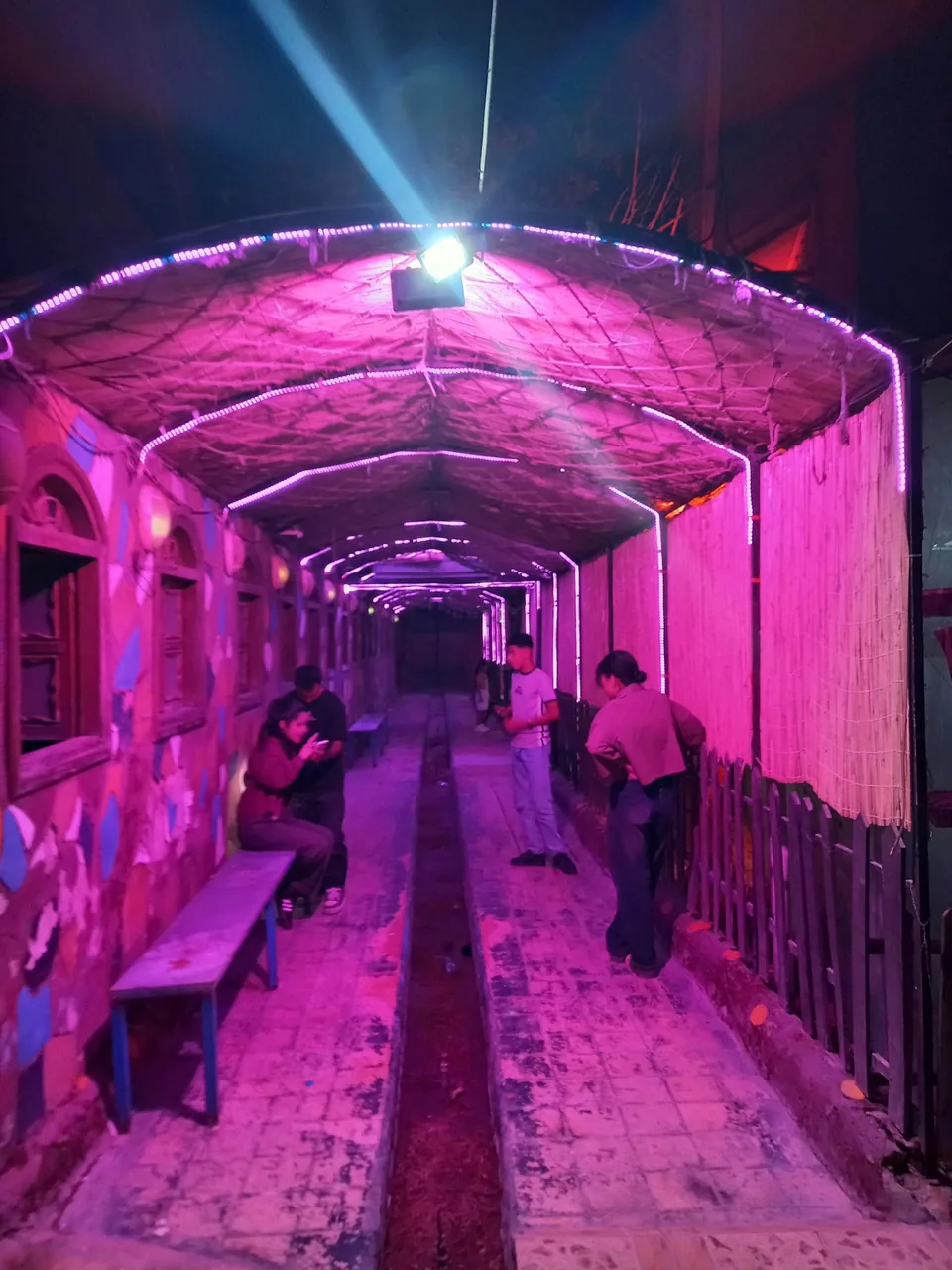 باغ تالار و سفره خانه نیاوران - تصویر 5