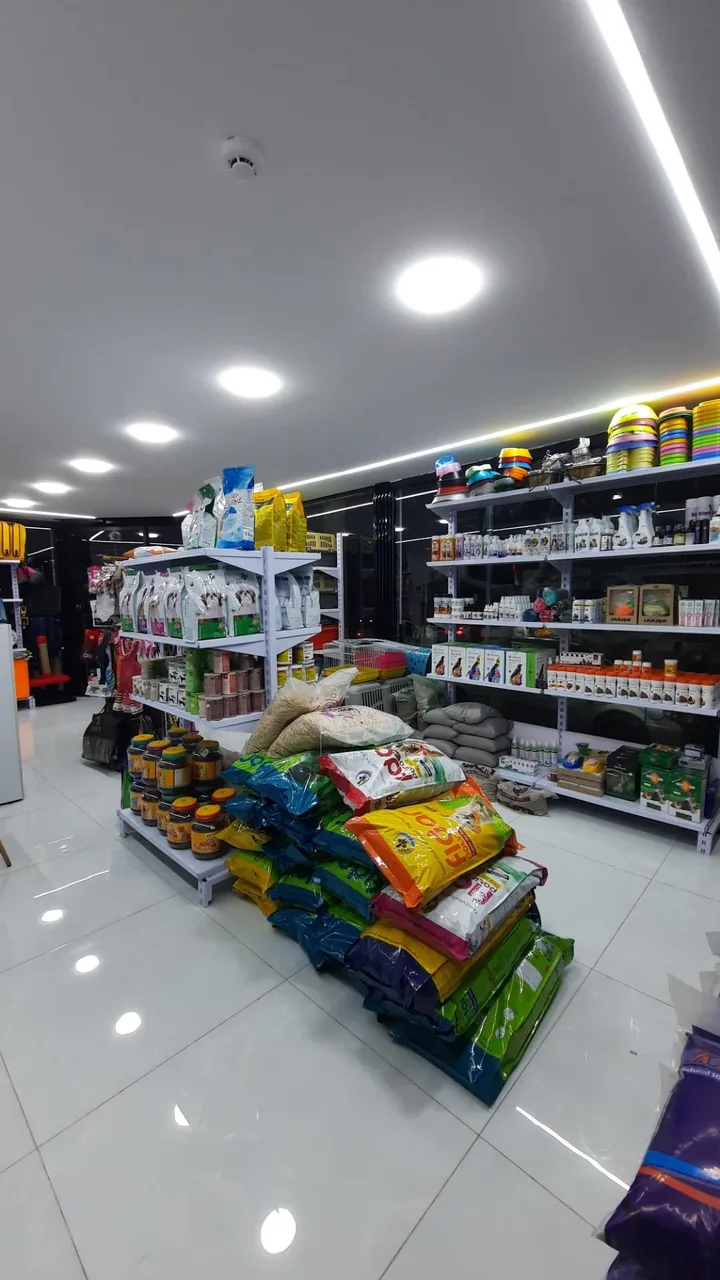 کلینیک دامپزشکی بارانا - تصویر 3