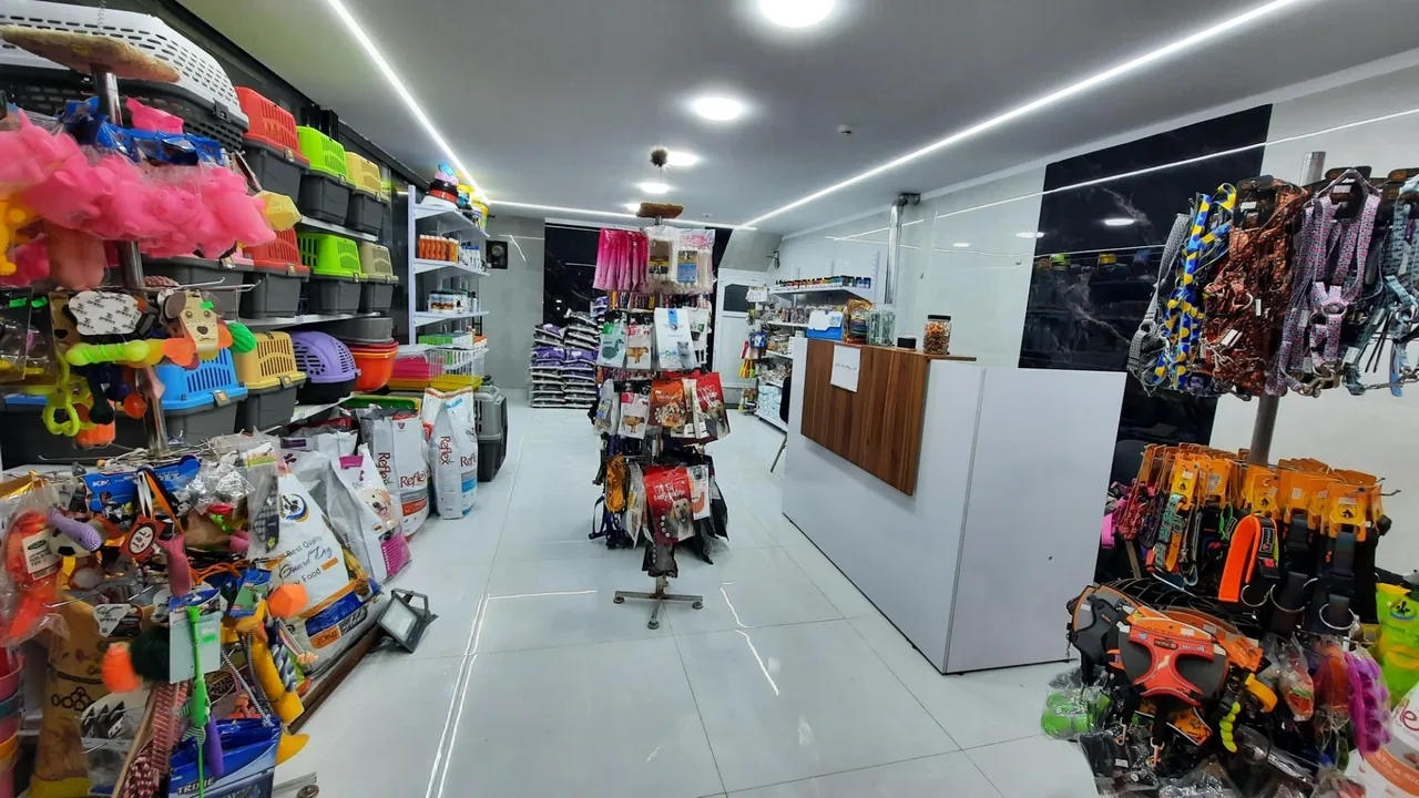 کلینیک دامپزشکی بارانا - تصویر 4