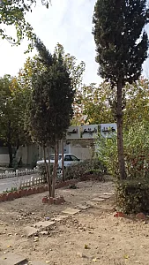 کلینیک دامپزشکی اکسیر