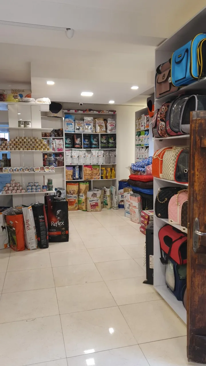 کلینیک دامپزشکی اکسیر - تصویر 5
