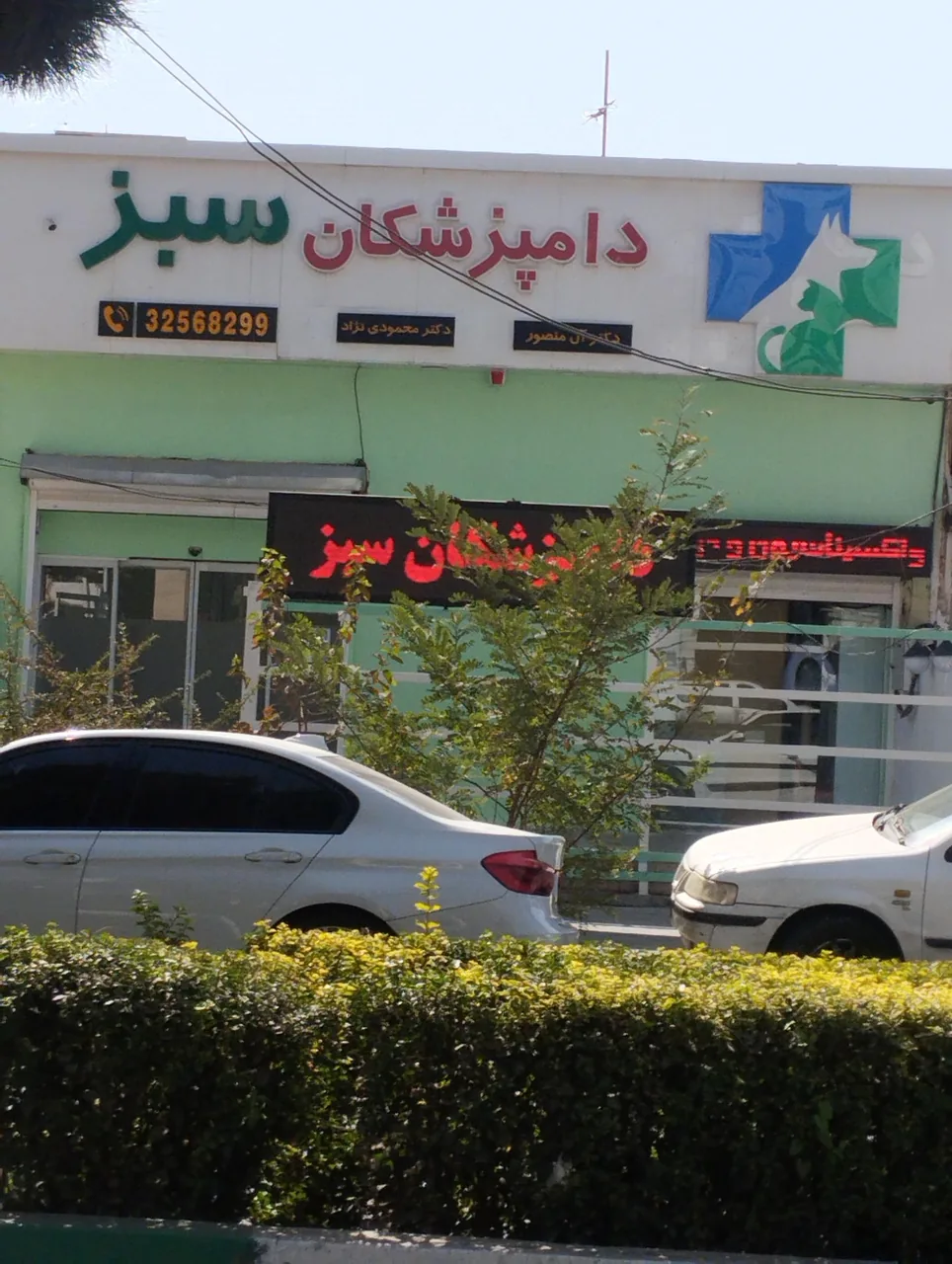 دامپزشکی دامپزشکان سبز