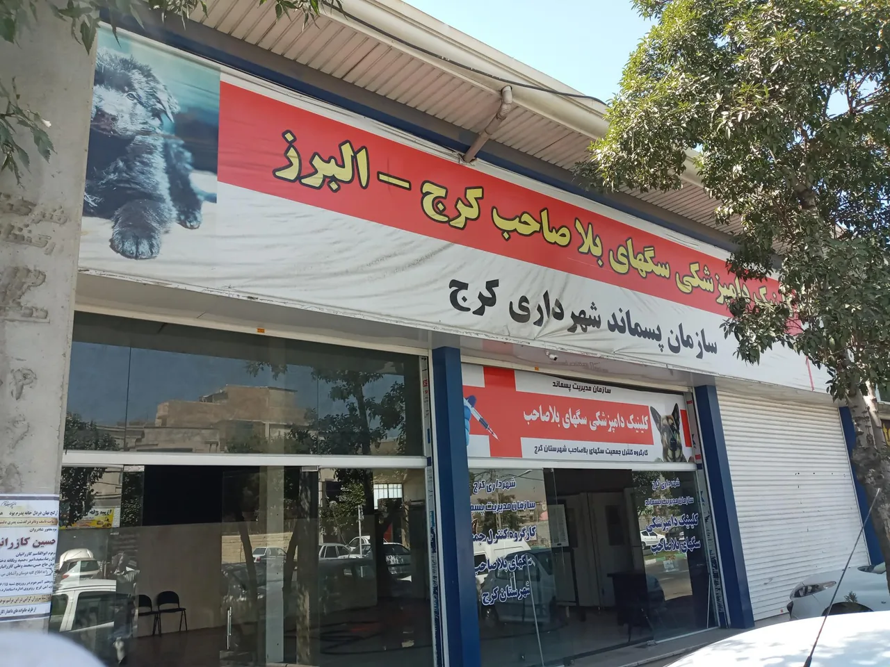 کلینیک دامپزشکی سگهای بلاصاحب کرج - البرز - تصویر 2