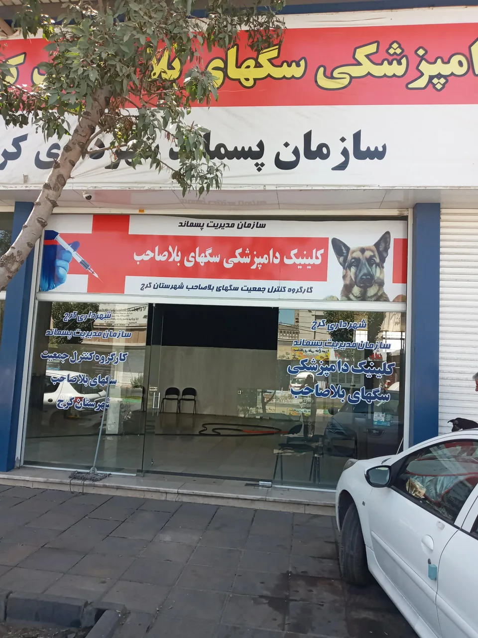 کلینیک دامپزشکی سگهای بلاصاحب کرج - البرز - تصویر 3