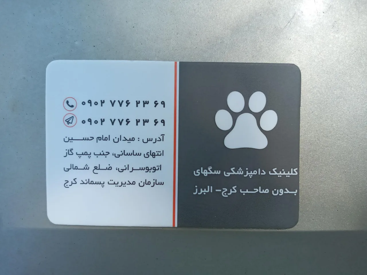 کلینیک دامپزشکی سگهای بلاصاحب کرج - البرز - تصویر 4