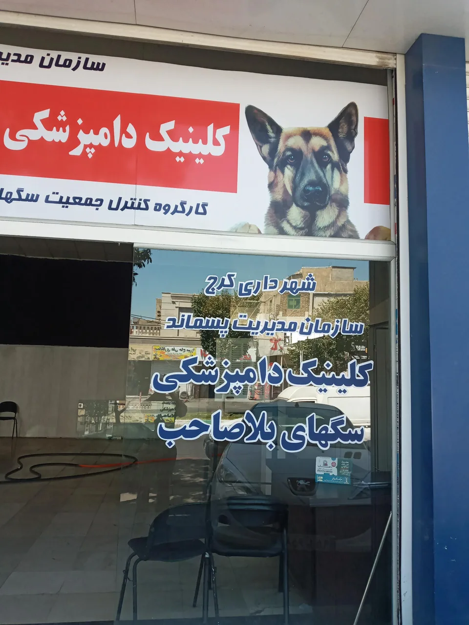 کلینیک دامپزشکی سگهای بلاصاحب کرج - البرز - تصویر 5