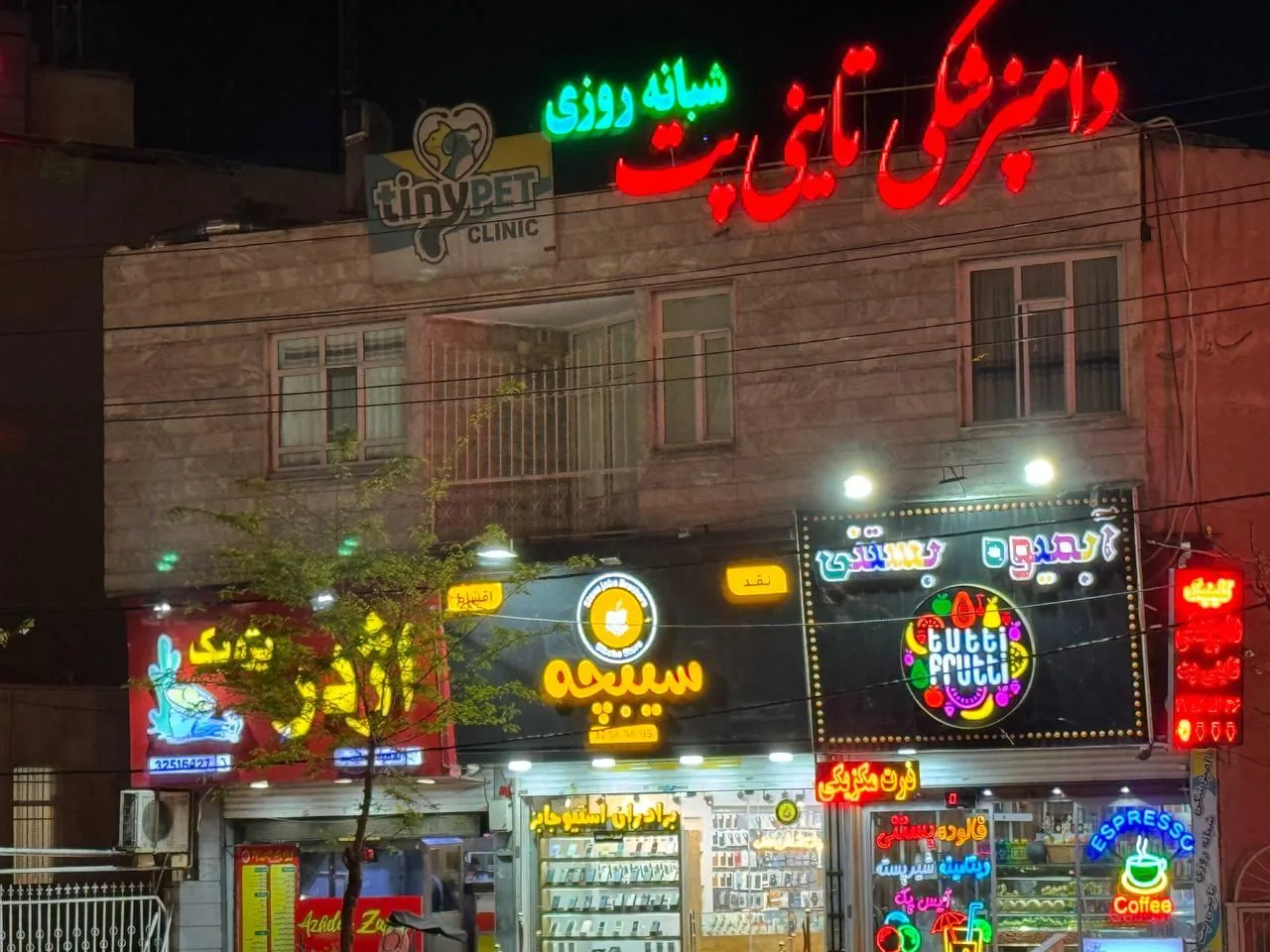 کلینیک دامپزشکی شبانه روزی تاینی پت - تصویر 2