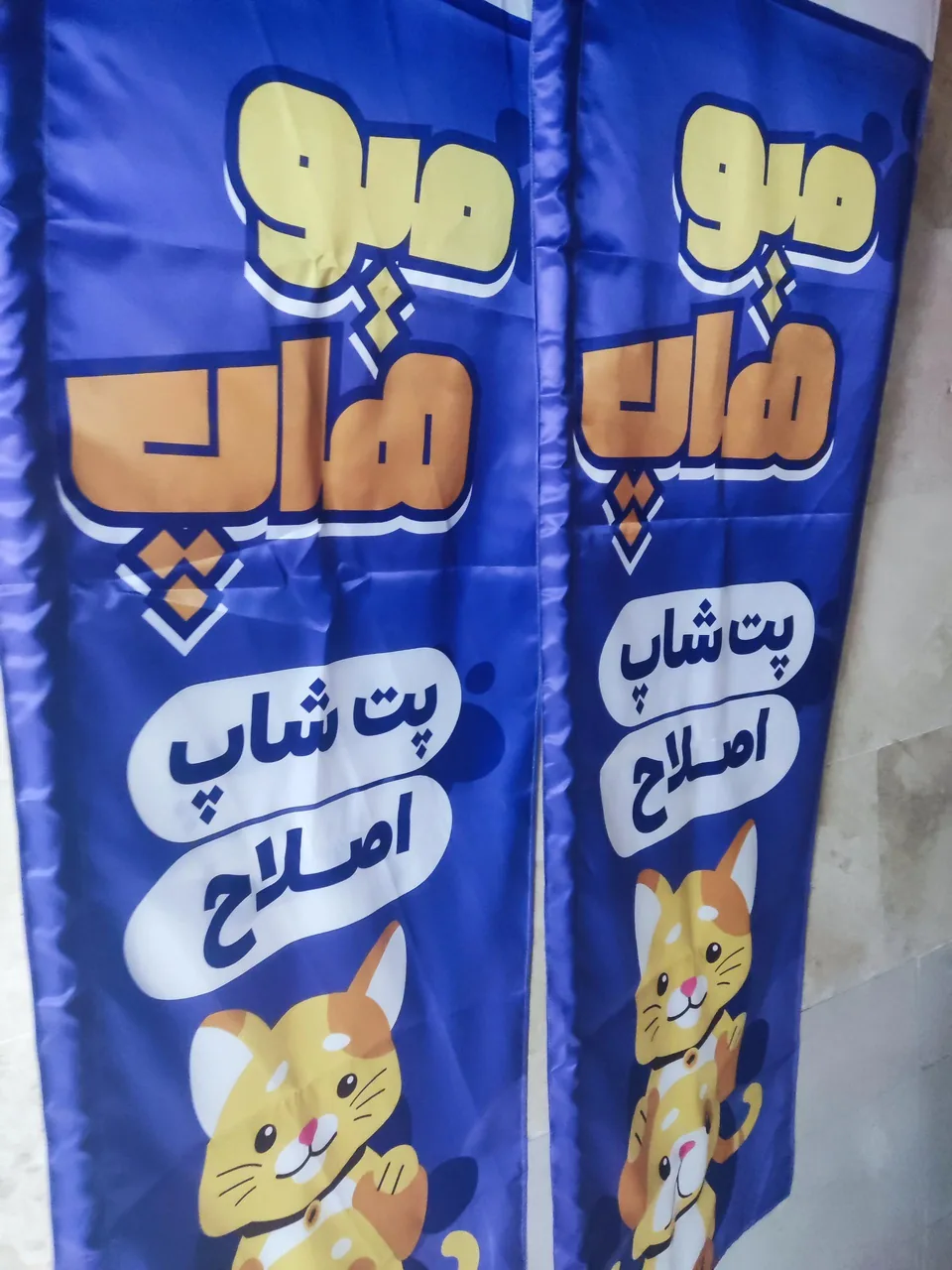 کلینیک دامپزشکی هاپ میو - تصویر 4
