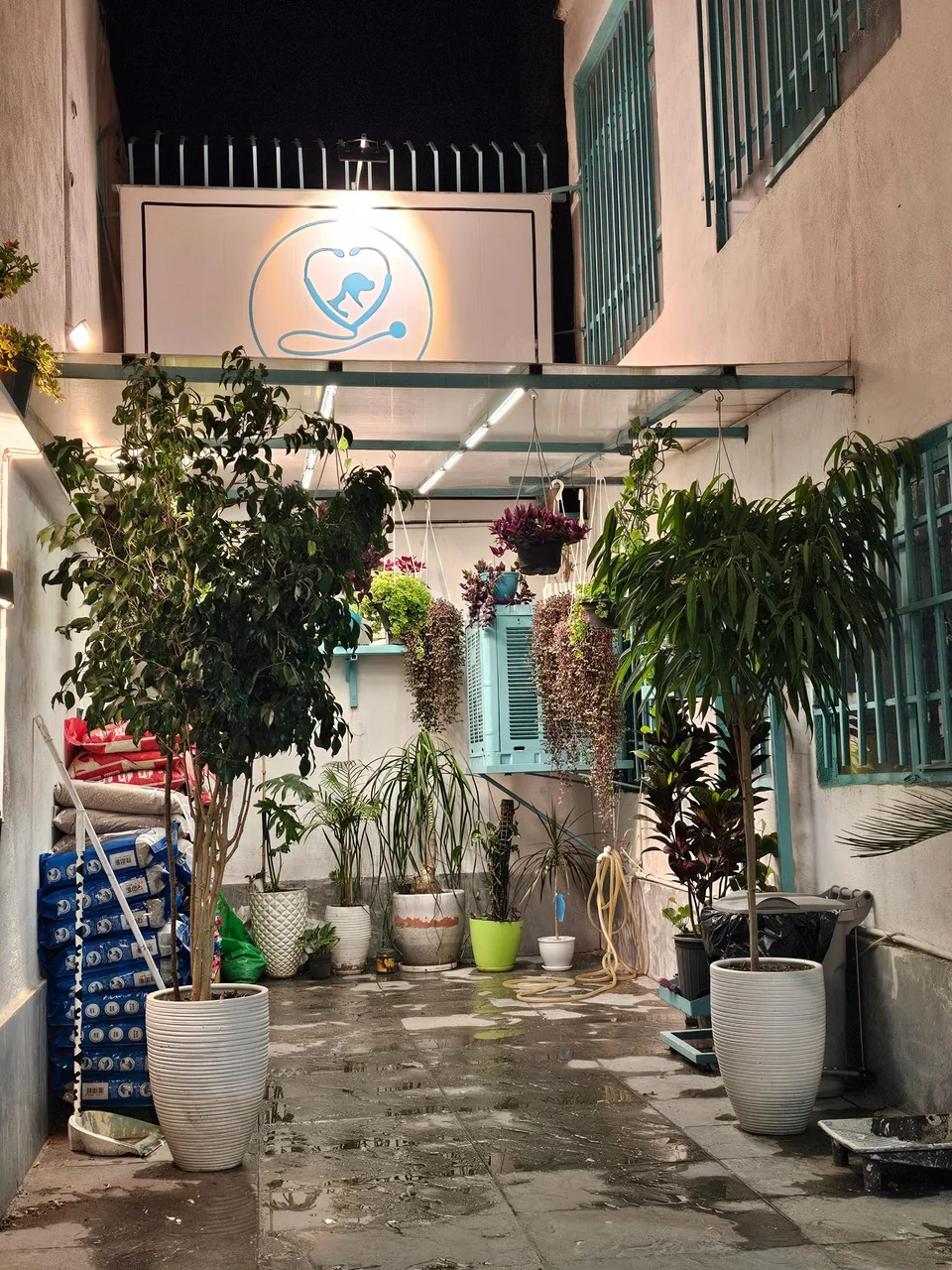 دامپزشکی دکتر وت - تصویر 3