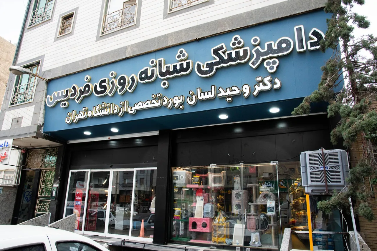 بیمارستان دامپزشکی شبانه روزی فردیس - تصویر 4